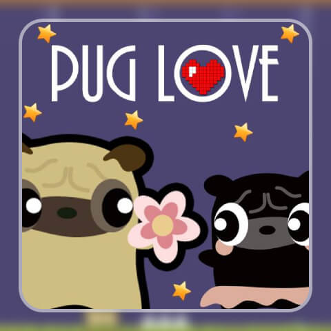456419 pug love