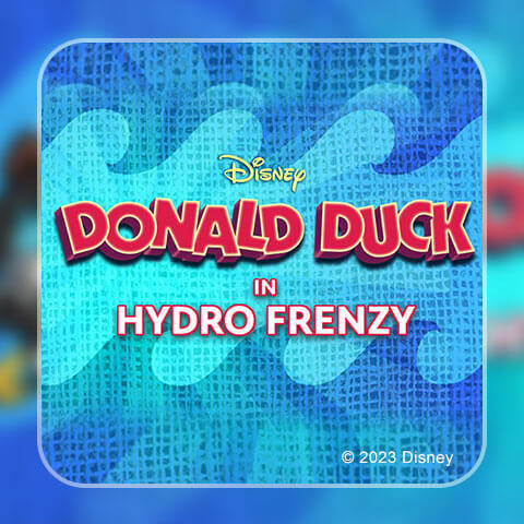 457072 donald duck hydro frenzy